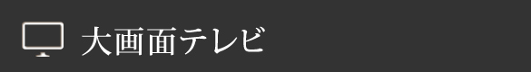 大画面テレビ