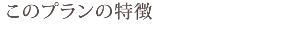 このプランの特徴
